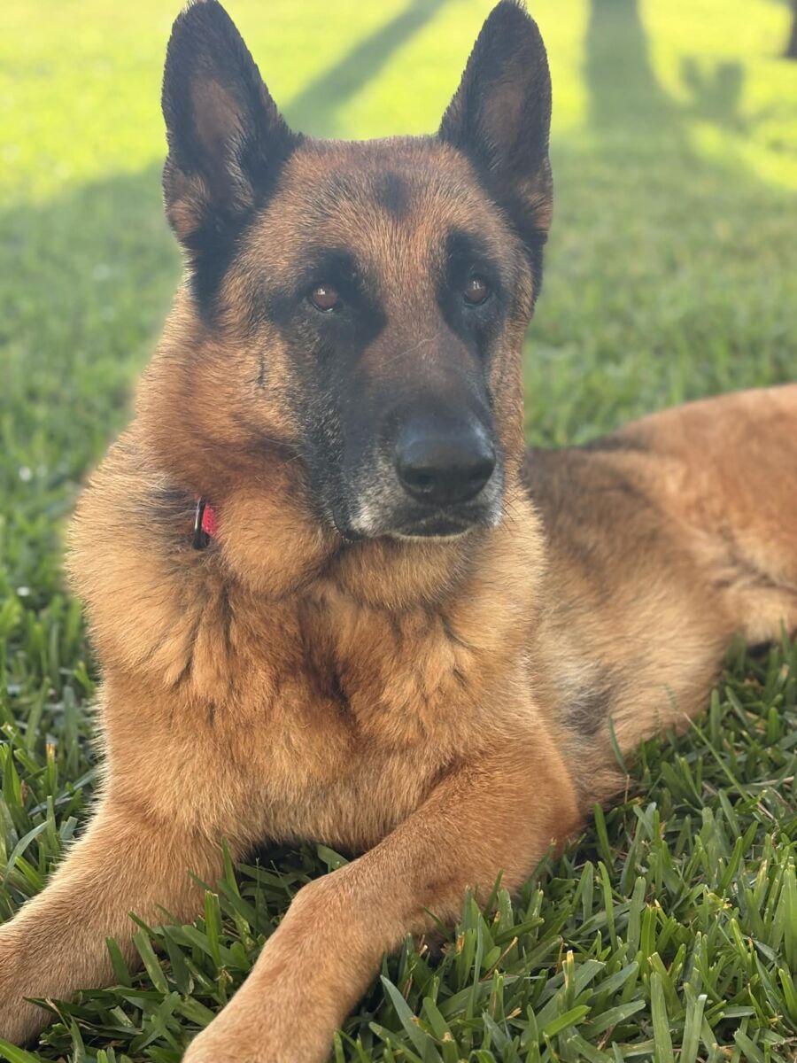 646322299_26617641521175856_8303036709234126329_n