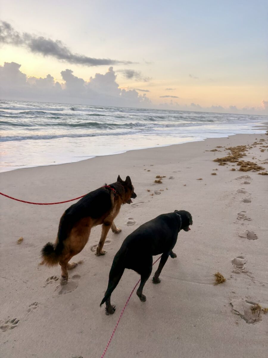 646799575_774031965417919_1971826053484774634_n