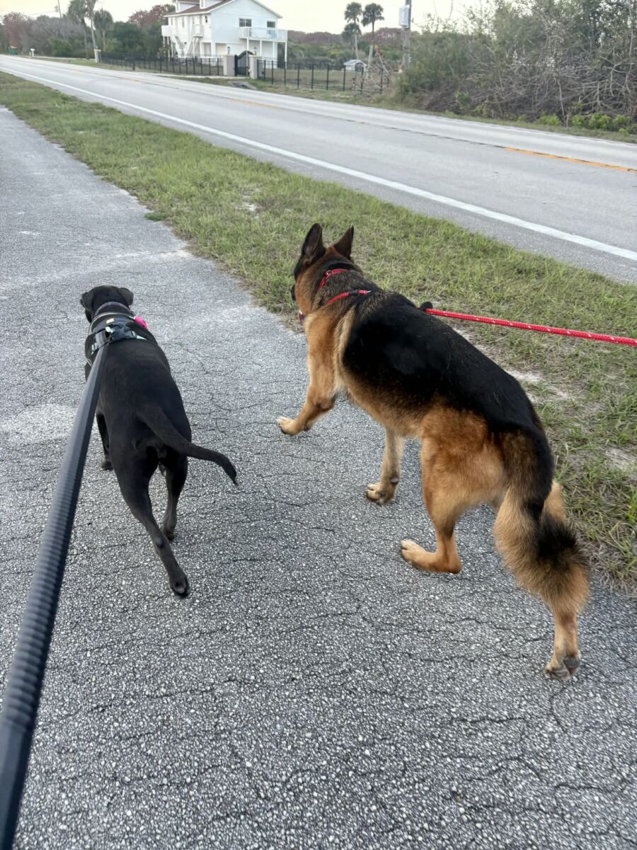 646872794_1746238040075755_8329514549465720697_n