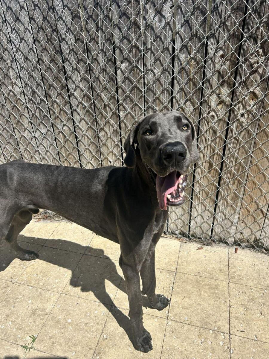 647551503_917499744252558_3741339435635689788_n