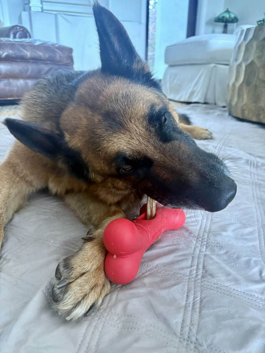 648843265_945546024648128_6876934769908826482_n