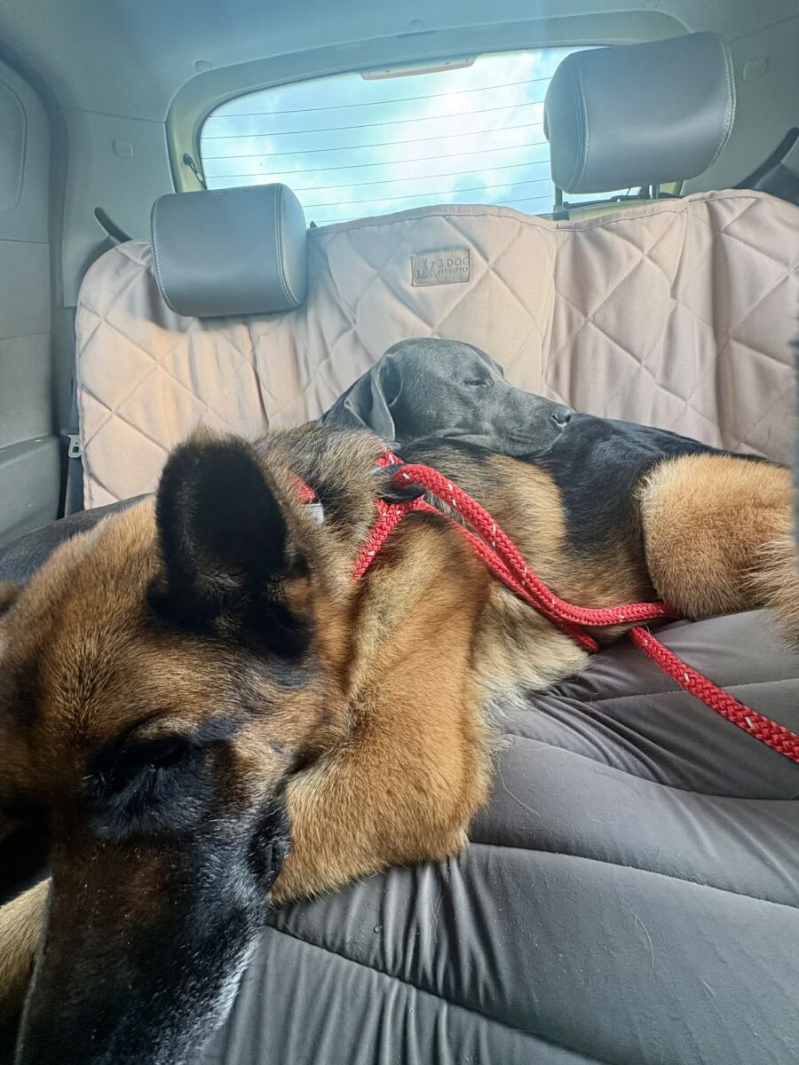 650244612_874692478953209_5237141517883165529_n