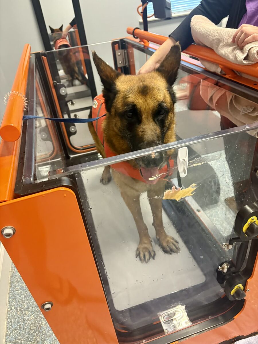 651465407_1933418590610157_4911125296698474424_n