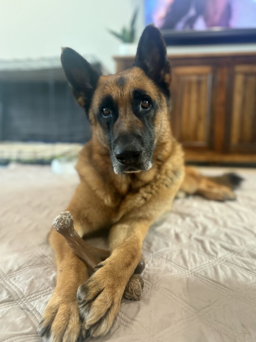 654151647_946525567725482_4551443697102839713_n