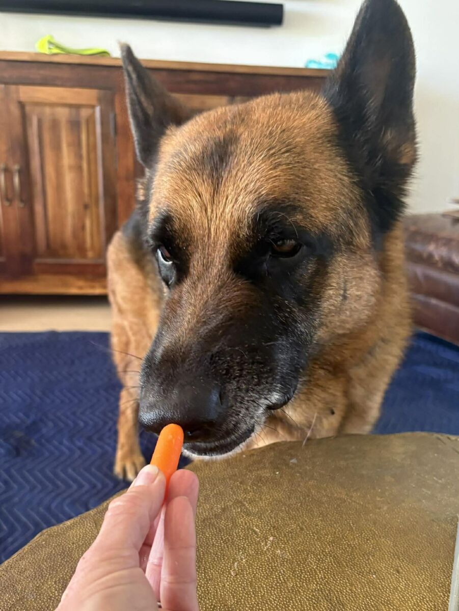 654579602_27169935992598115_2912582550566386365_n