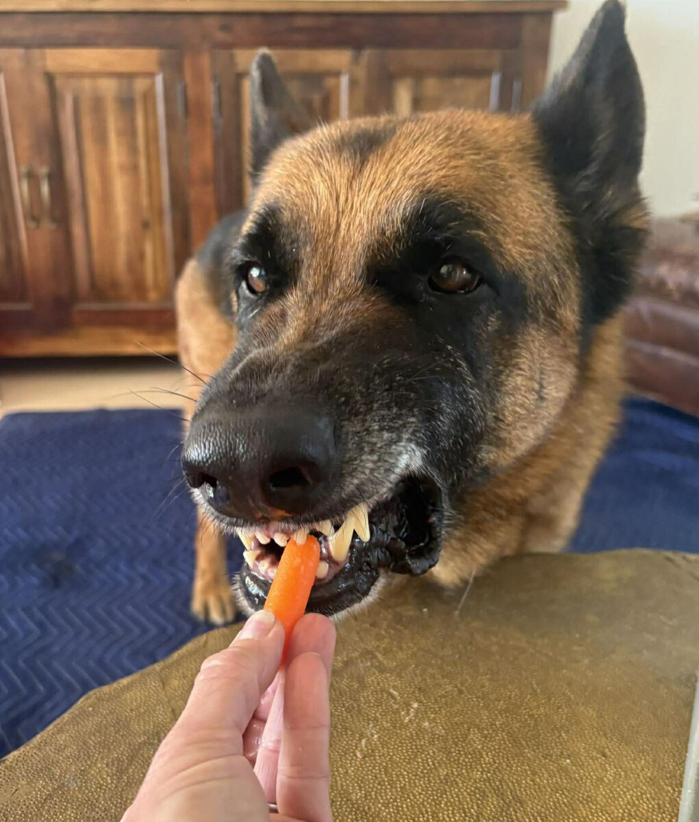 655080936_3648273395319869_6276256015715192723_n