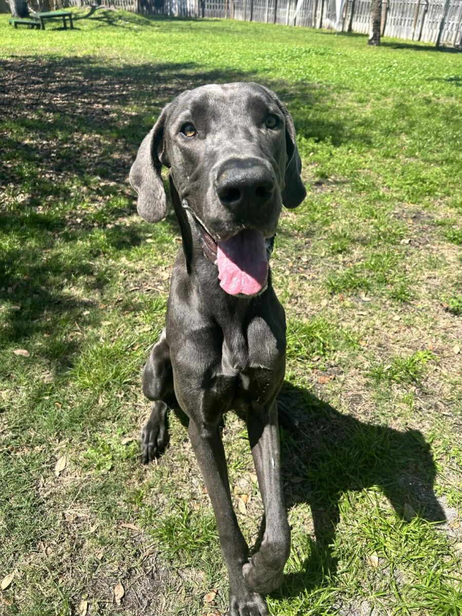 657377345_1733311354503357_4768538036627582898_n