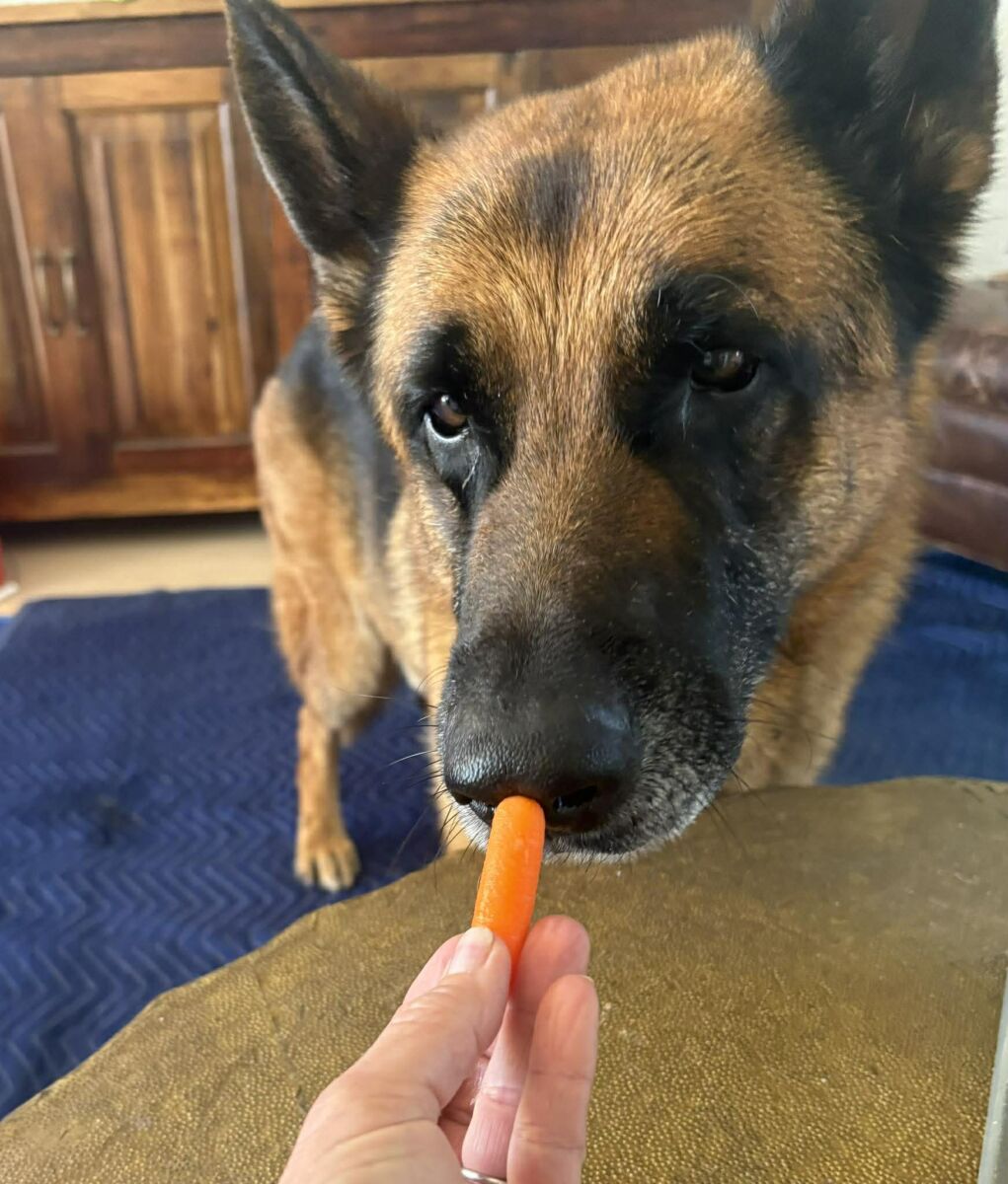 657460001_915015701516523_182009792616294097_n