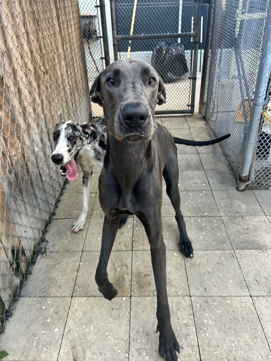 657579431_1245774640999044_4193445891665620653_n