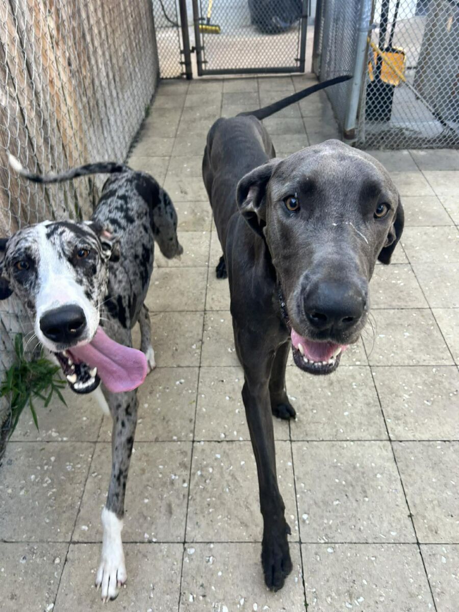 658698766_785250801017983_6938704659555486715_n