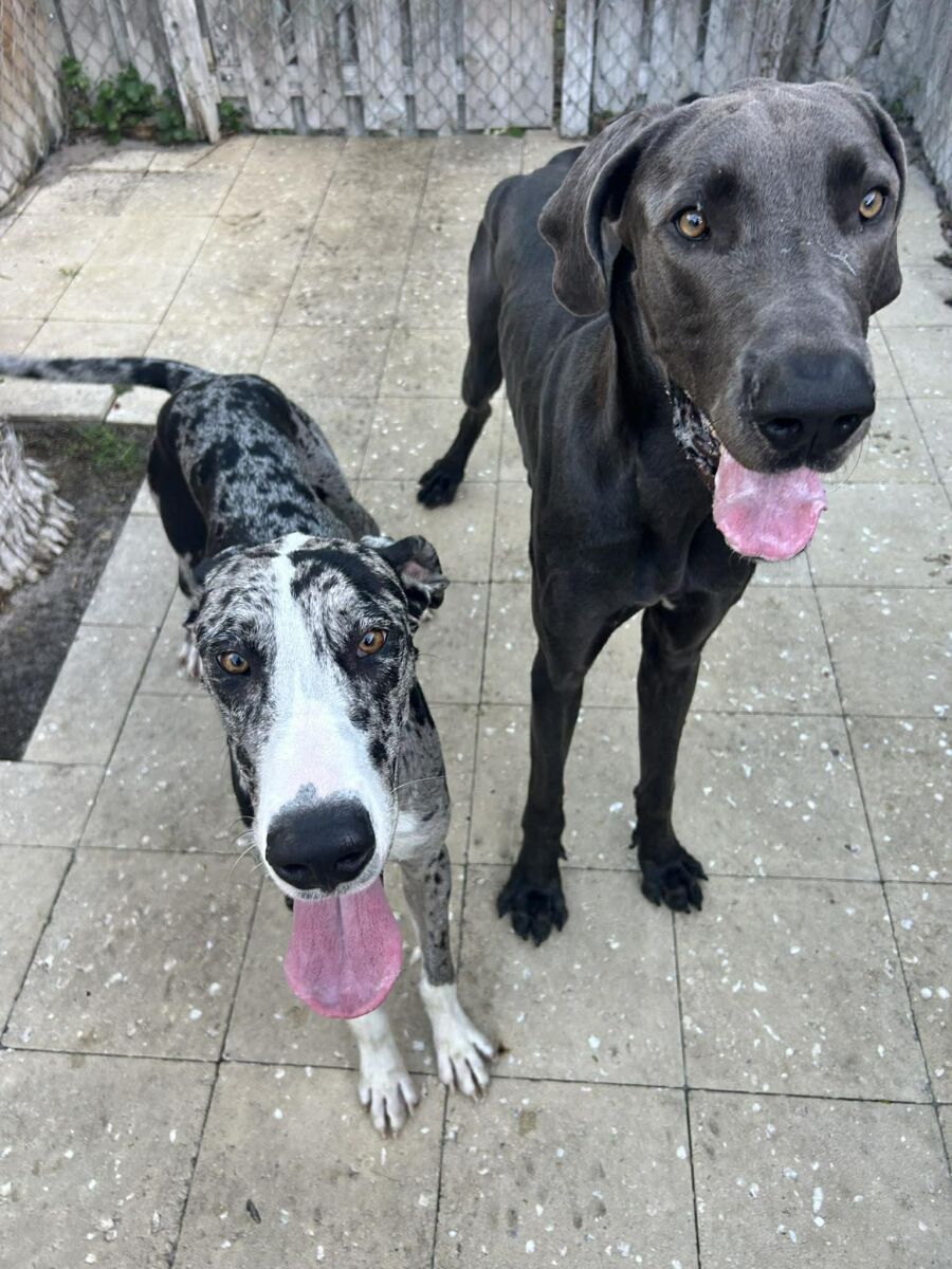 659034888_1590209185425117_3897023450960755036_n