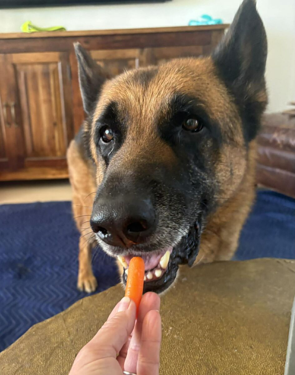 659057375_1448746853377109_4417718700083065510_n