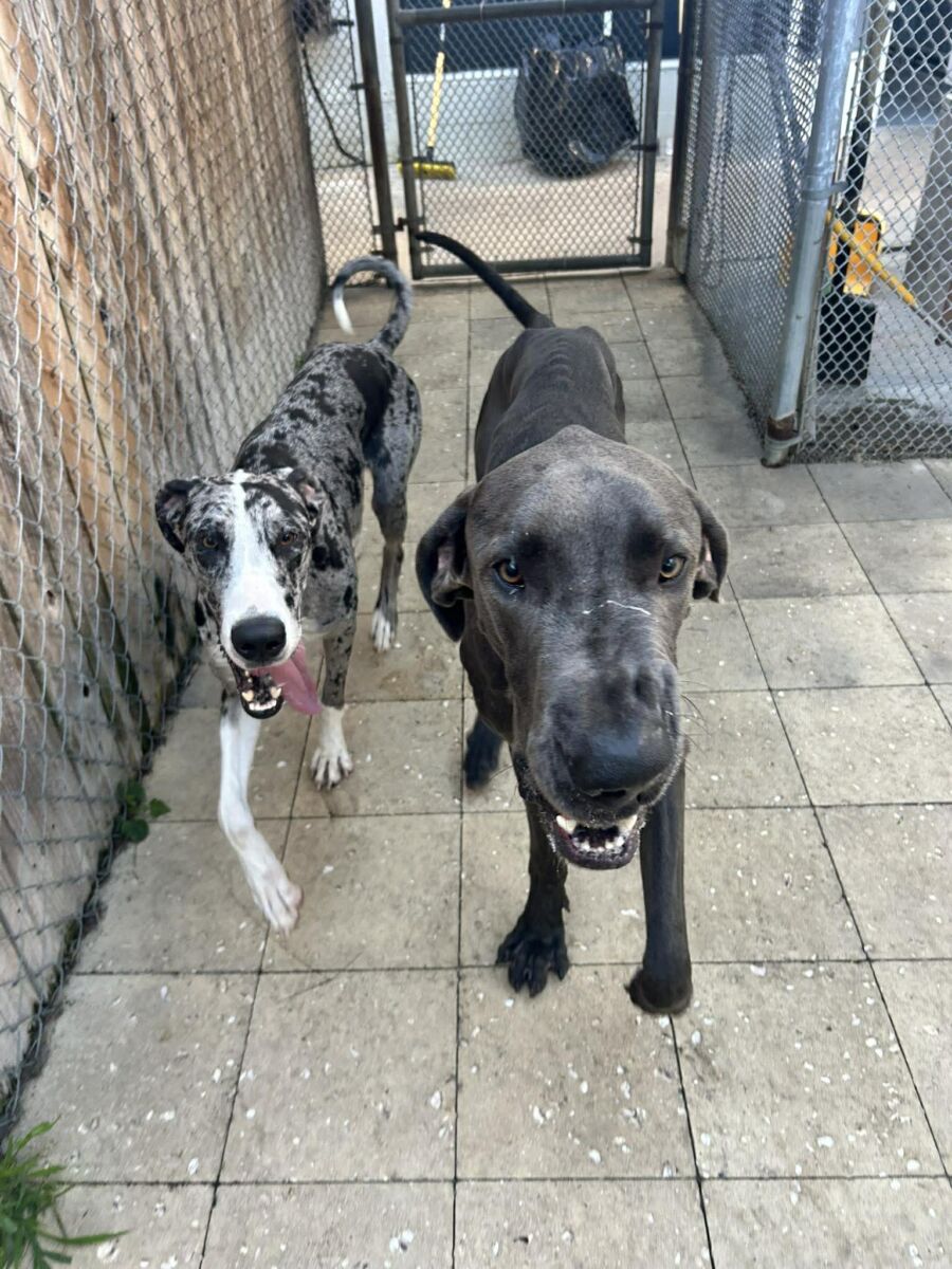 660009998_2499541093829466_4304091410901158725_n