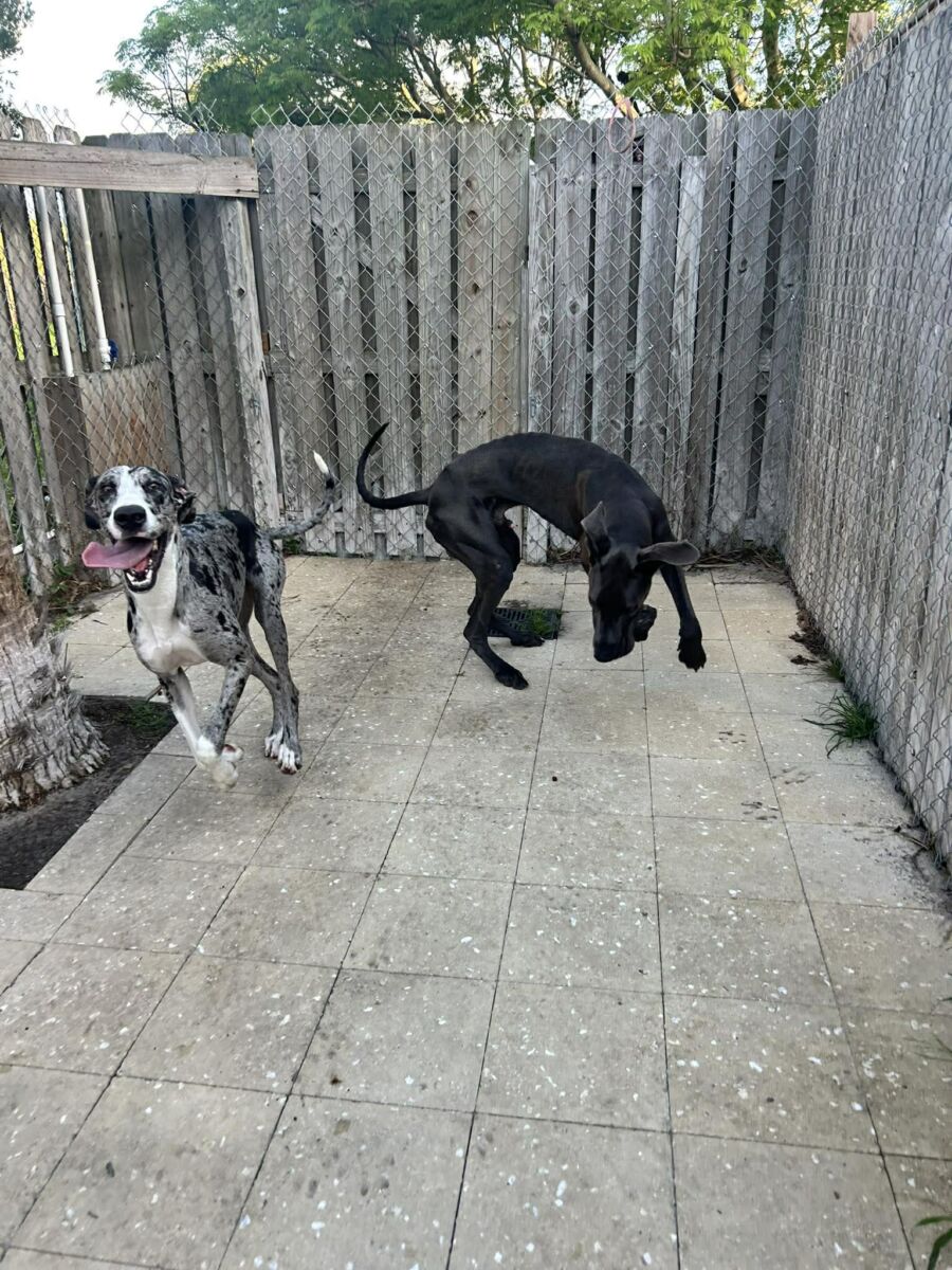 660023290_1730169284621413_5104936021891478931_n