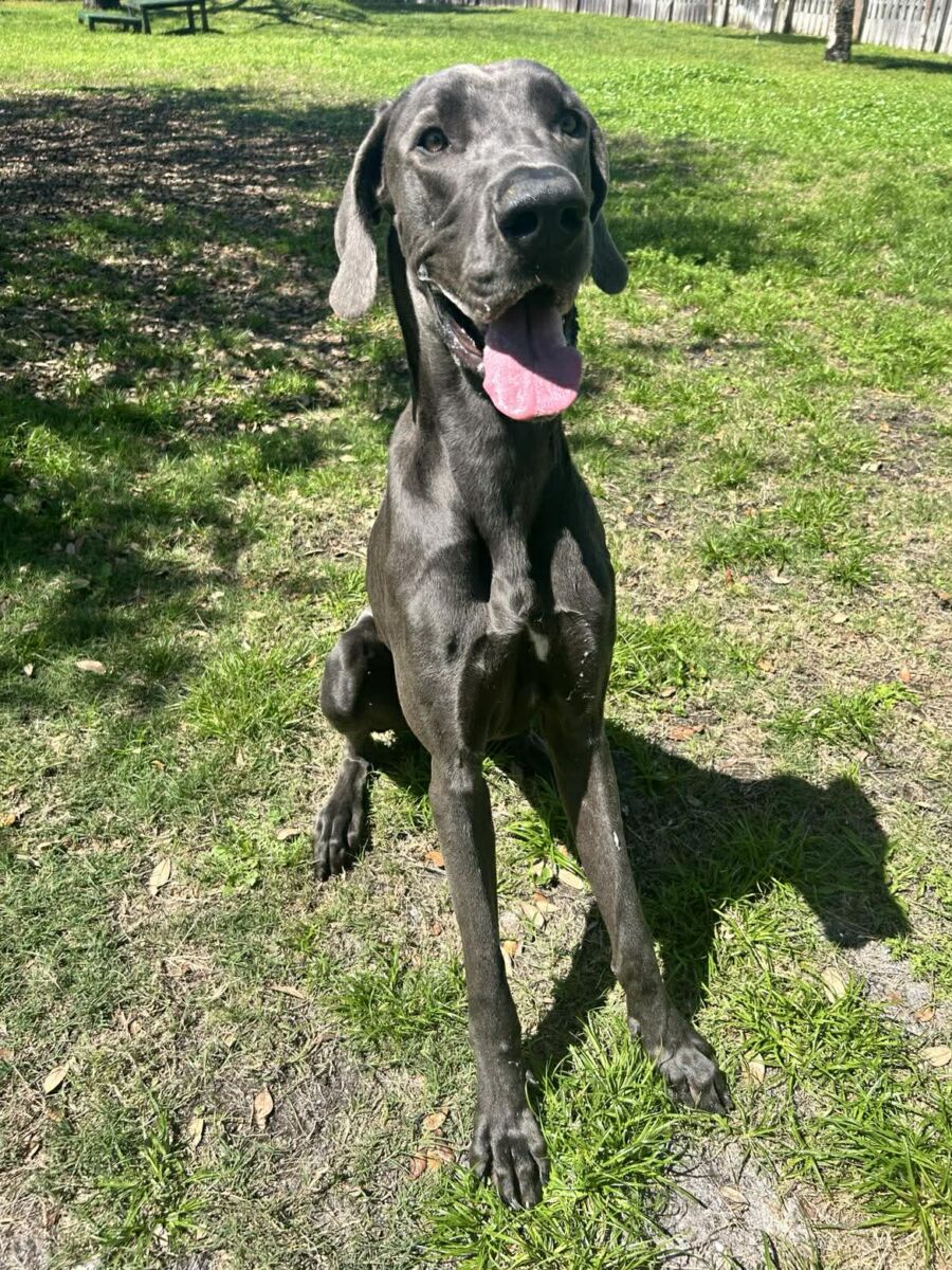 660425332_1608874930385136_3036128928610598718_n