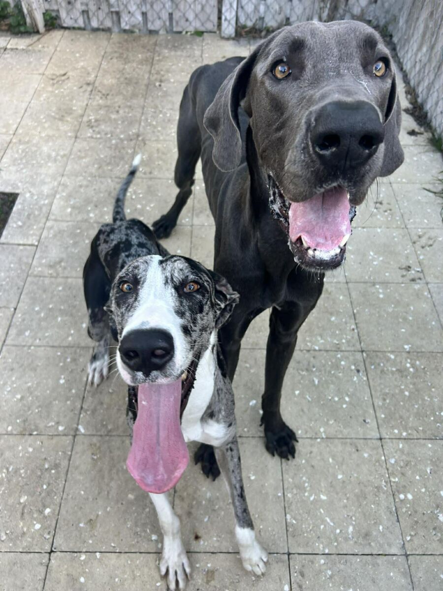 661868208_1479228047228479_2081968591851112371_n