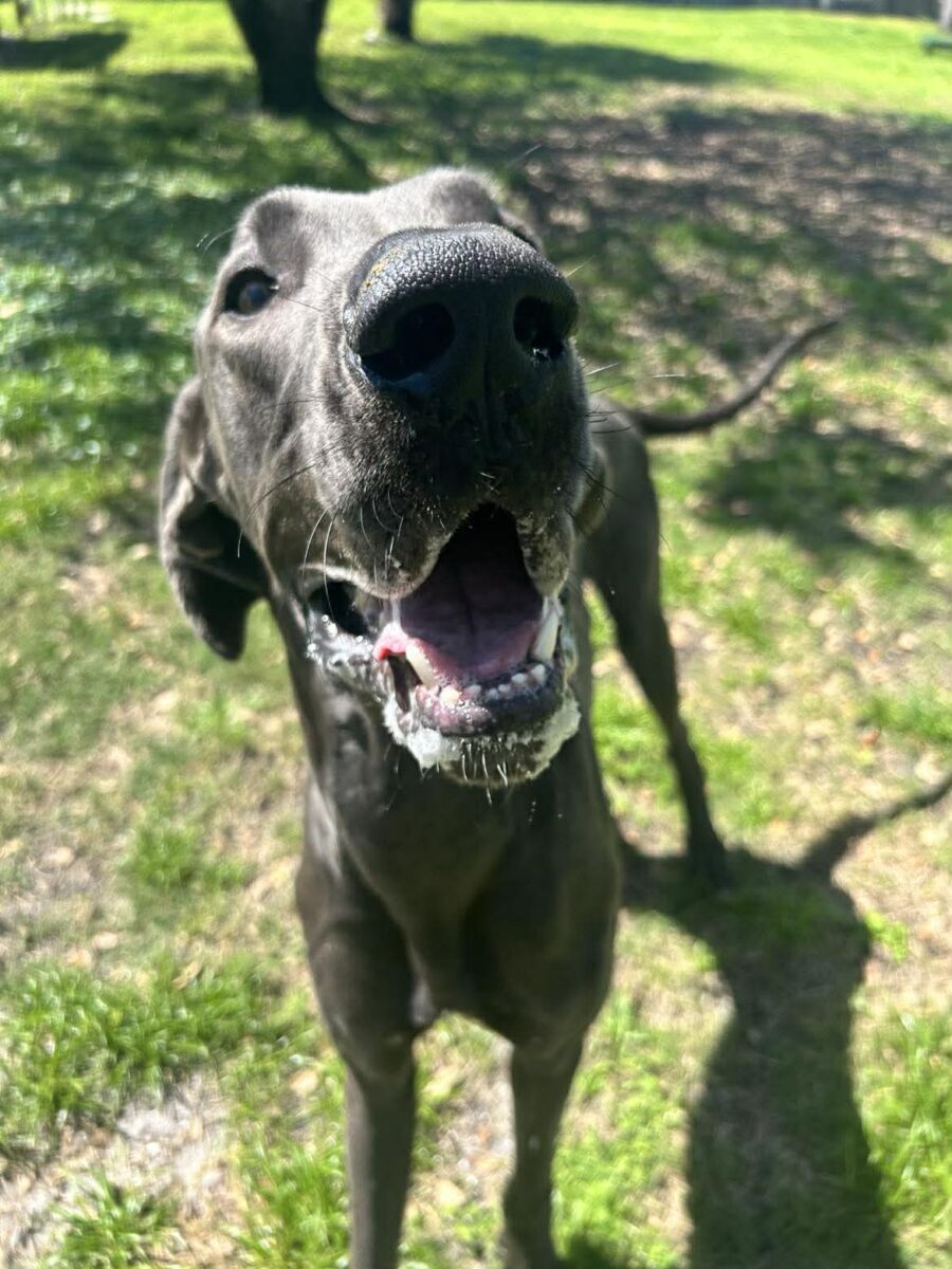 661905604_1739421810757351_3665978854676166239_n