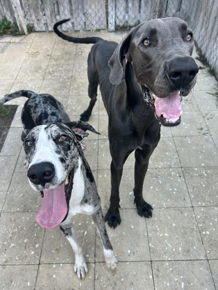 661912182_27180284811579064_199343181054017926_n