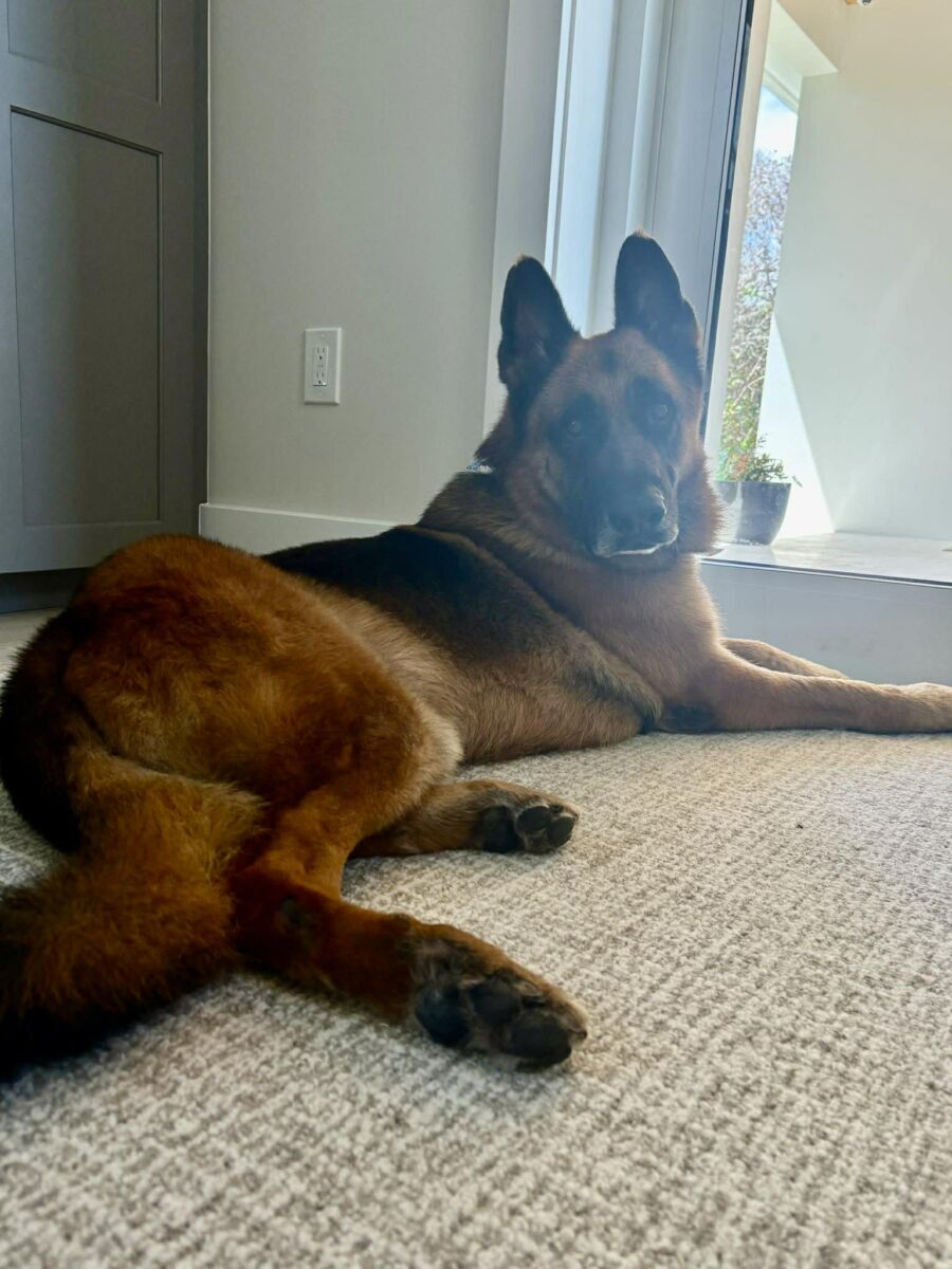 661966035_820400400490004_4334799145910543478_n