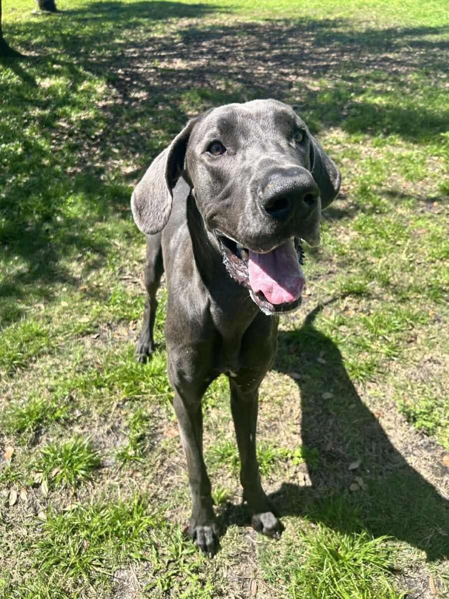 662115151_1576520006739672_6761348976185093378_n