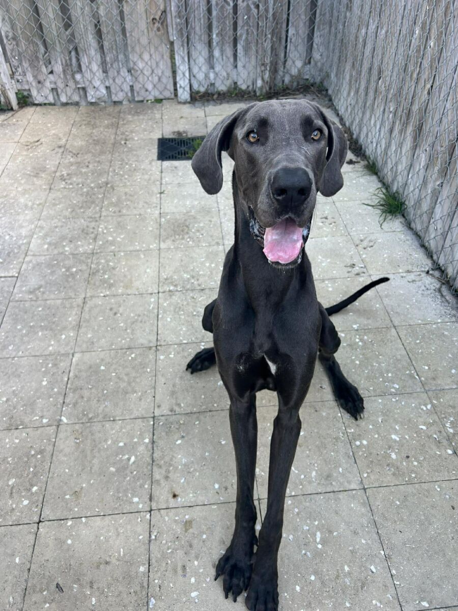 662373251_955569663603271_8866372028966265519_n