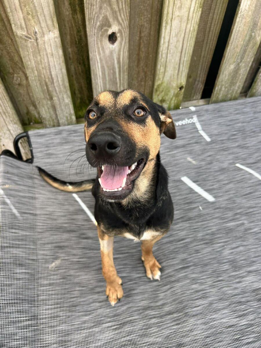 662600077_1668325391191742_4192379046260762358_n