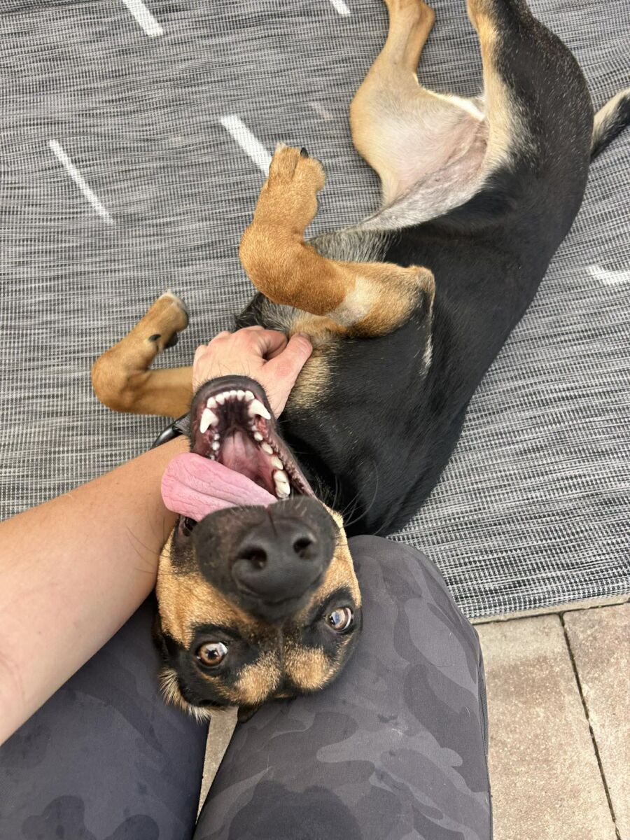 663119105_1666444631343937_8419445719787135965_n