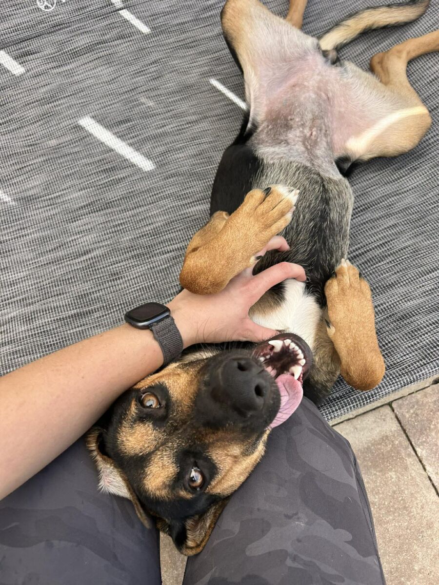 663237566_939755272006503_7432013586512440472_n