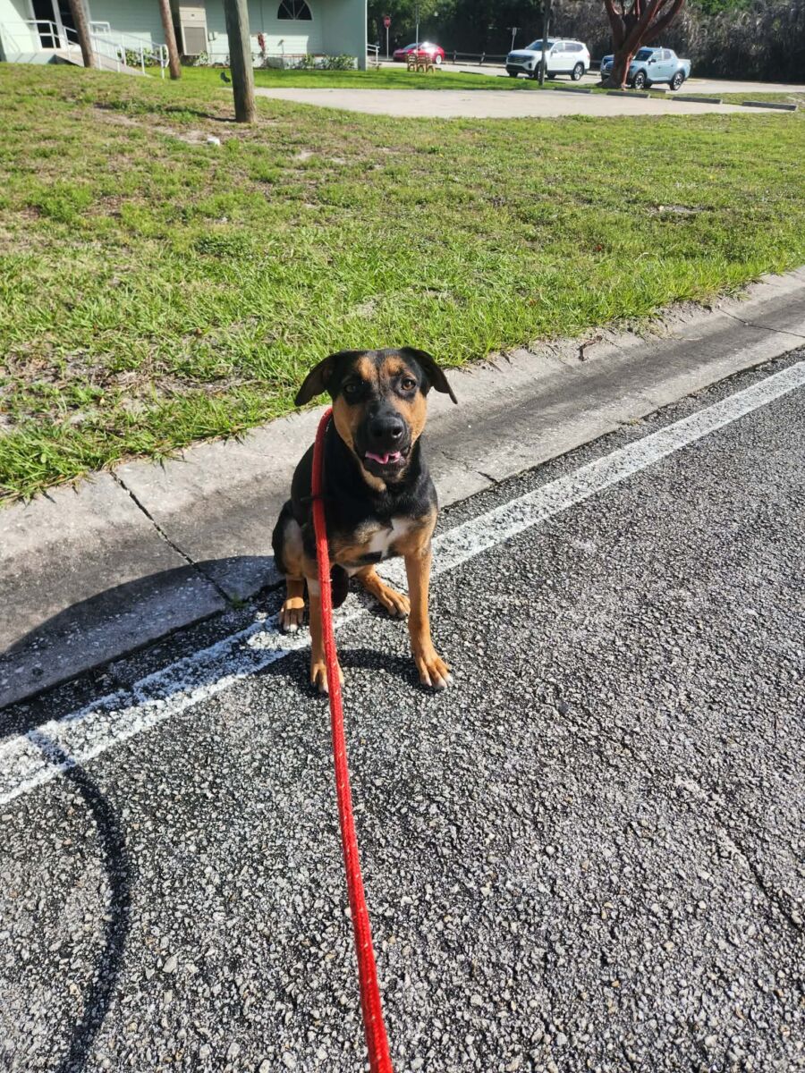 663835417_819836570621840_3258933647268977321_n (1)