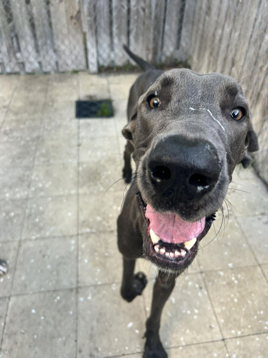 663909323_1624881392167727_1529631246726677178_n