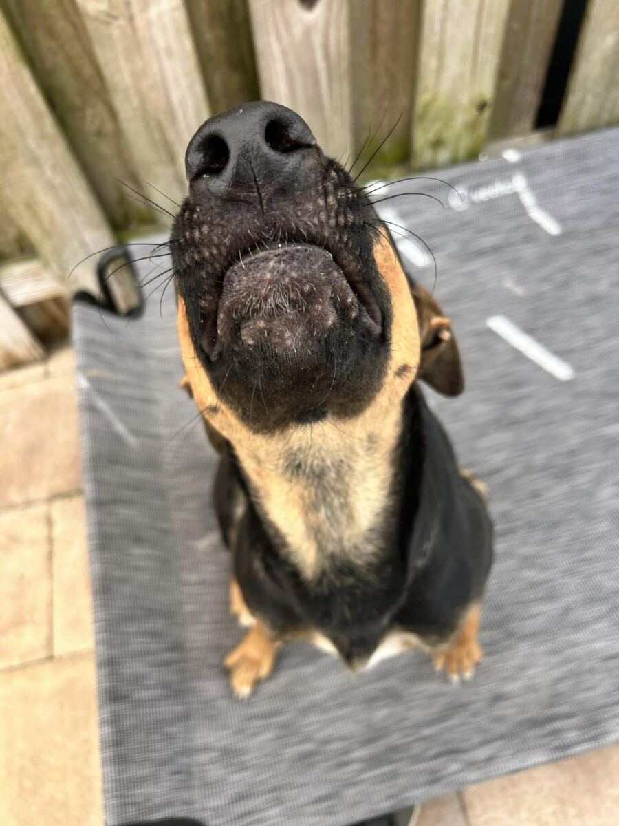 665192397_1413039960866637_6907887269170073026_n