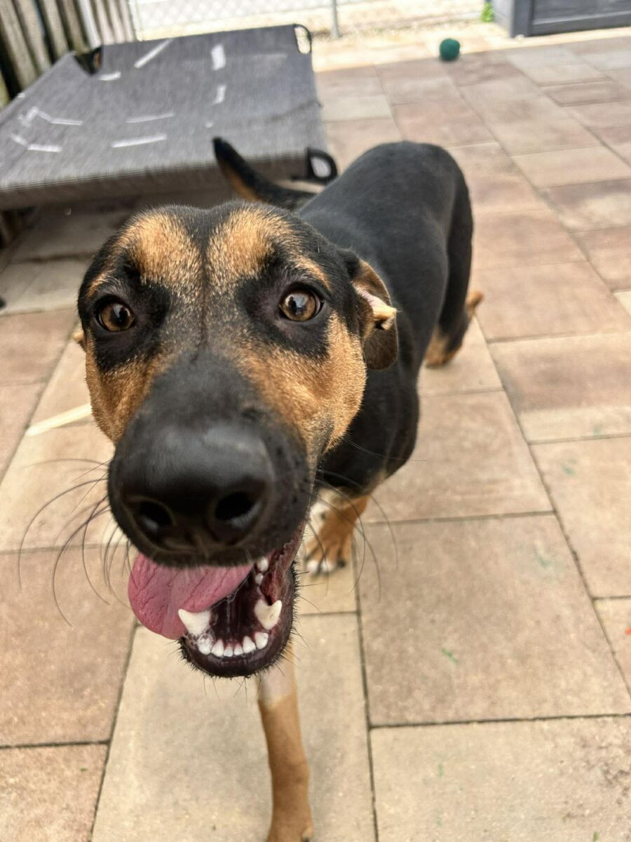 665426428_1466801274938369_2898355548604617814_n