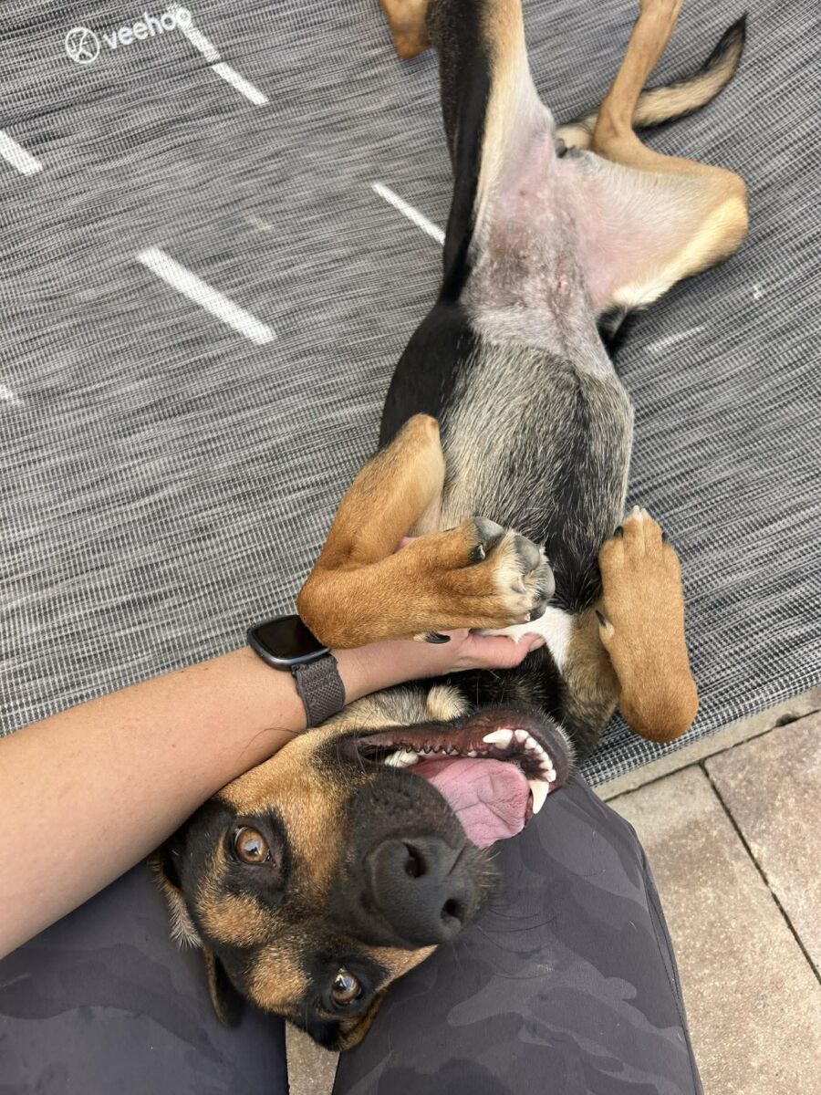 668284699_2144295429740732_1548840131697109904_n