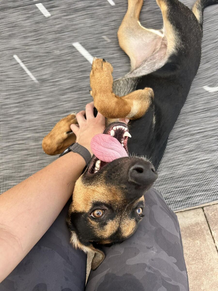 669688572_2041836530069686_1375099487116824745_n