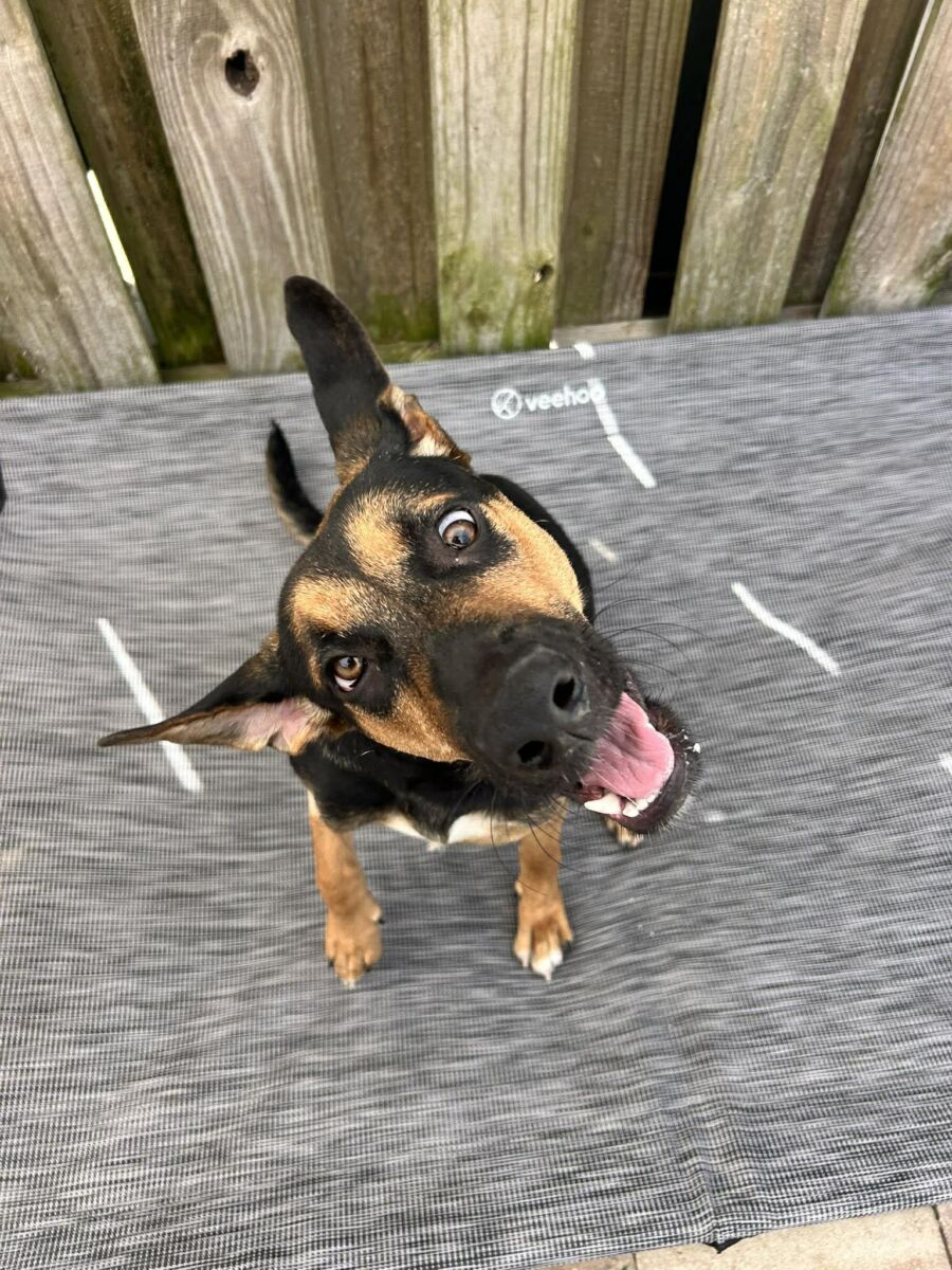 670536230_2764358440568274_7963460867627952313_n