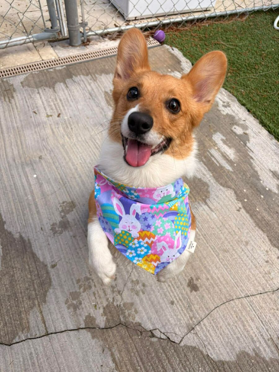 6aaee646e8604d354e4dbd4704852bc2