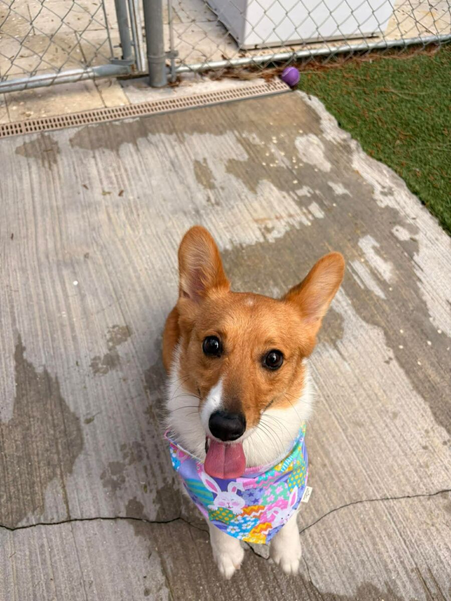 742883760c1d650bd69866b5e6b1a5b4