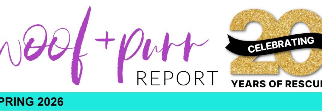 Woof & Purr Report Spring 2026