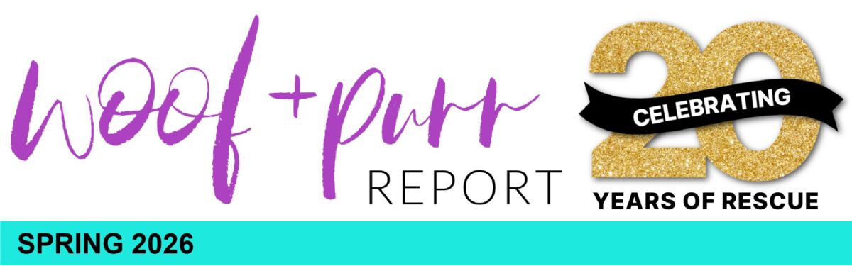 Spring Newsletter 2026 - Page 1 copy