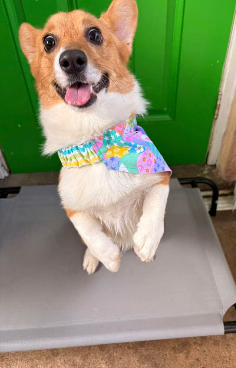 a587164615caae689e8999da9fd20707