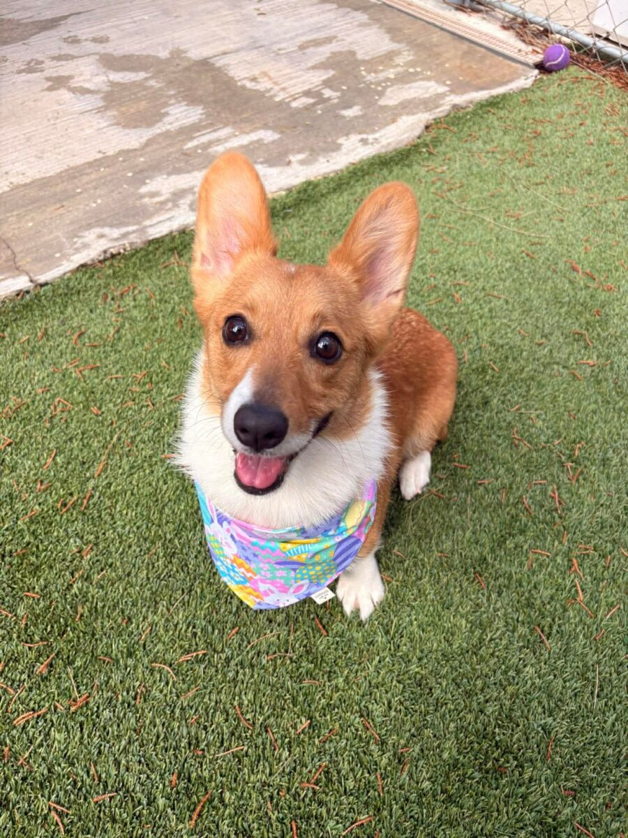 c2eee8ad312414db888f3177b8e2e52a