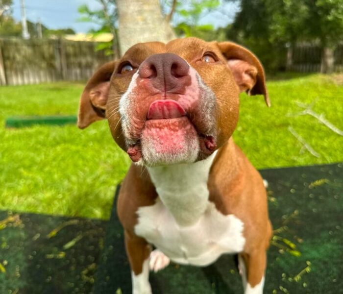 4e2f107f32d55b205cf0d59b21929d43