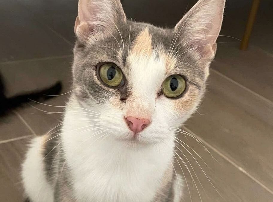 Fiona