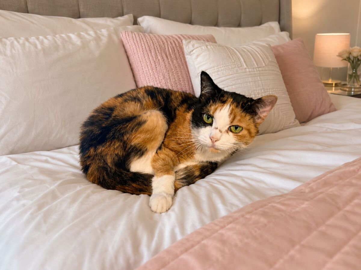 Nicolette on bed edit