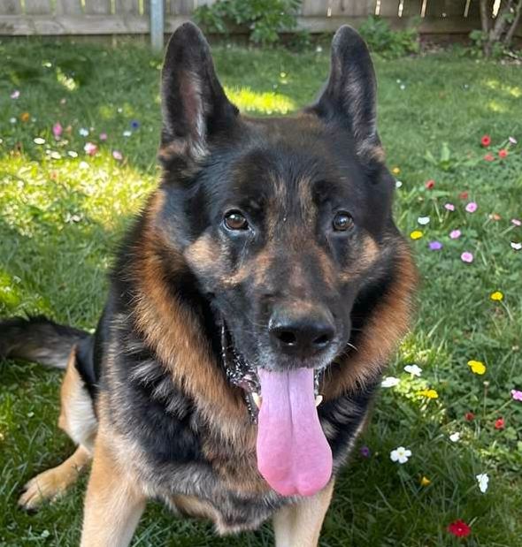 Samson