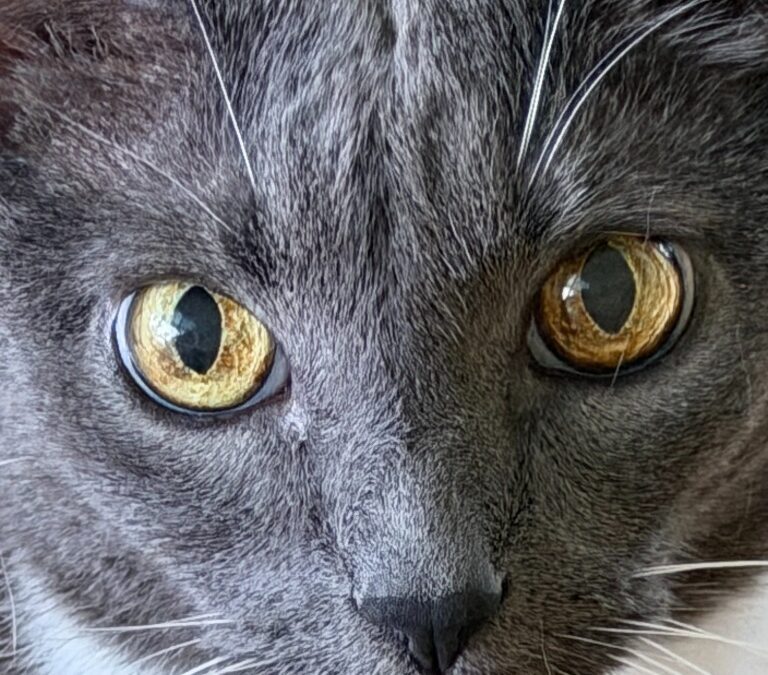 Smokey