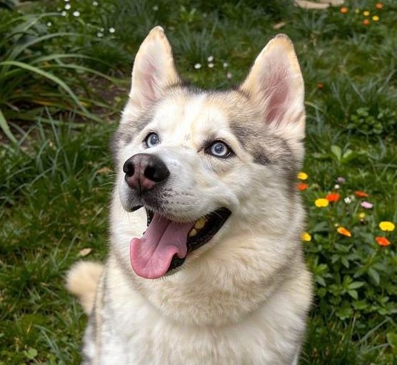 Skye