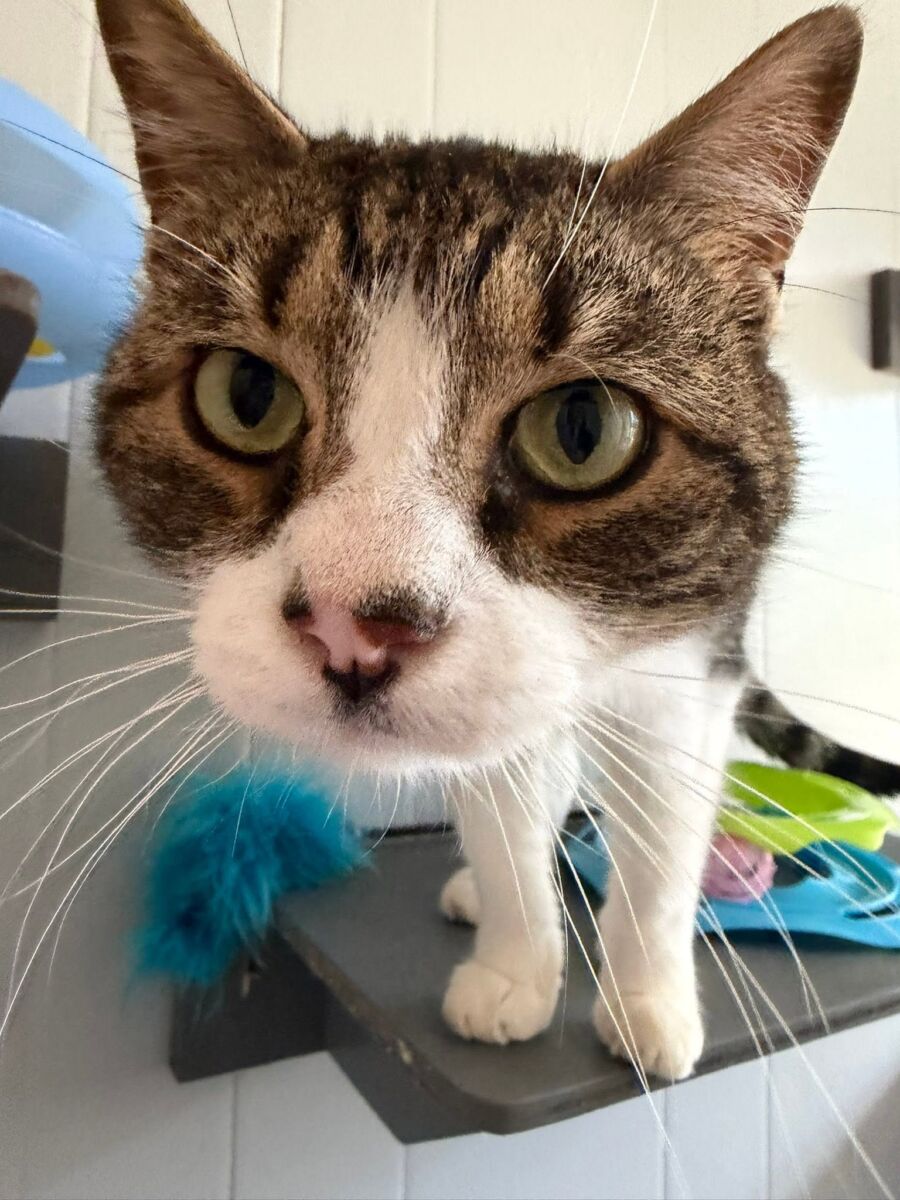 Tom 3