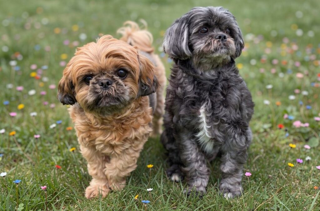 Winston & Colby