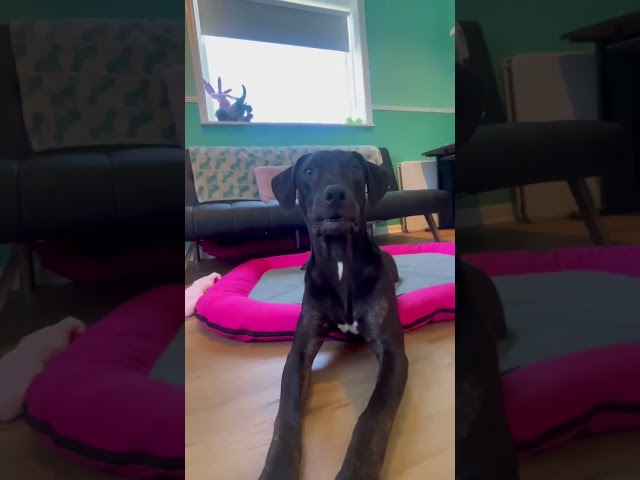 Thor Playing Pt 2